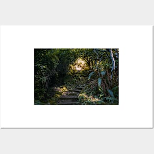 Staircase in a forest Posters and Art